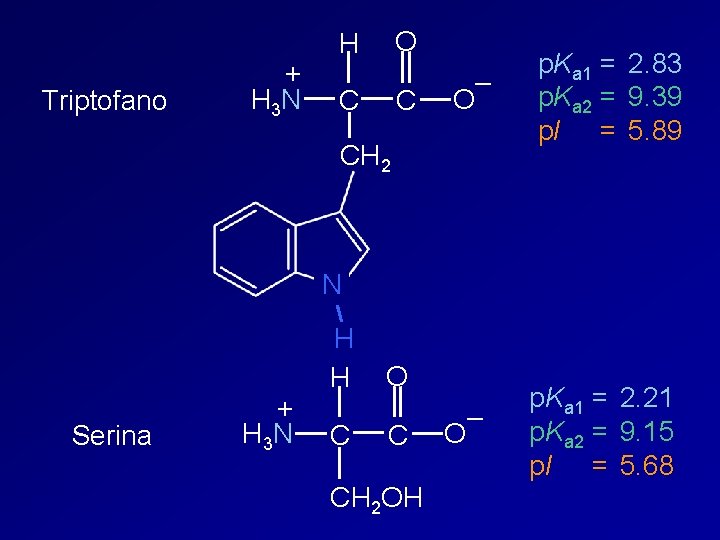 Triptofano + H 3 N O H C C – O p. Ka 1