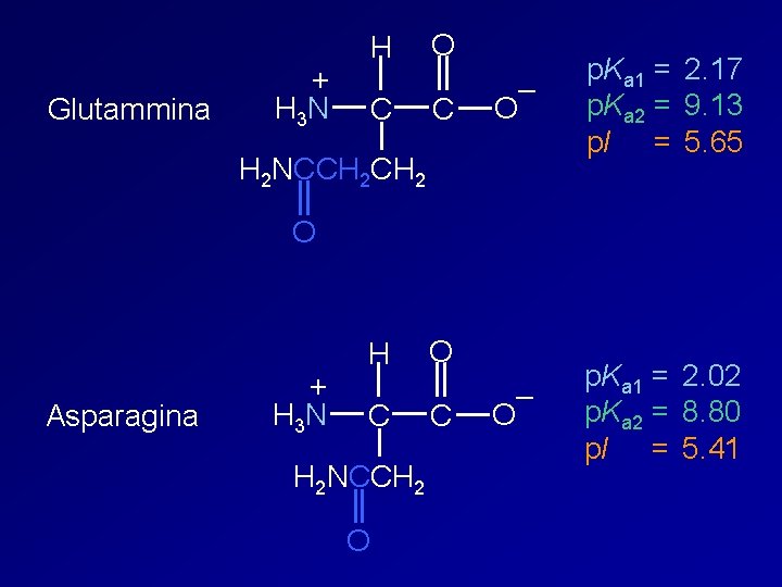 Glutammina + H 3 N H C O C – O p. Ka 1