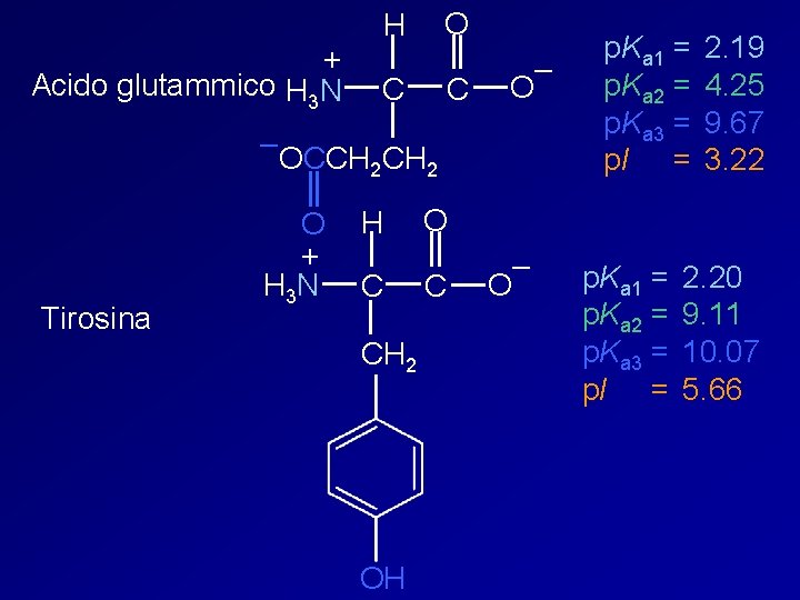 + Acido glutammico H 3 N O H C C – OCCH 2 Tirosina
