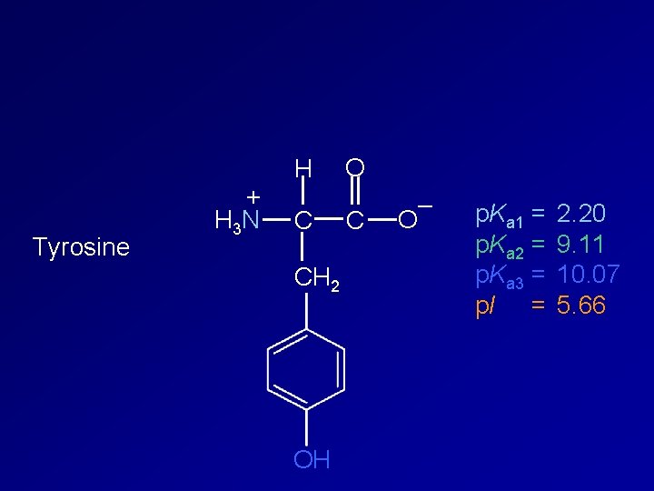 Tyrosine + H 3 N H C CH 2 OH O C – O
