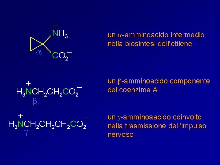 + NH 3 a CO 2– un a-amminoacido intermedio nella biosintesi dell’etilene + –