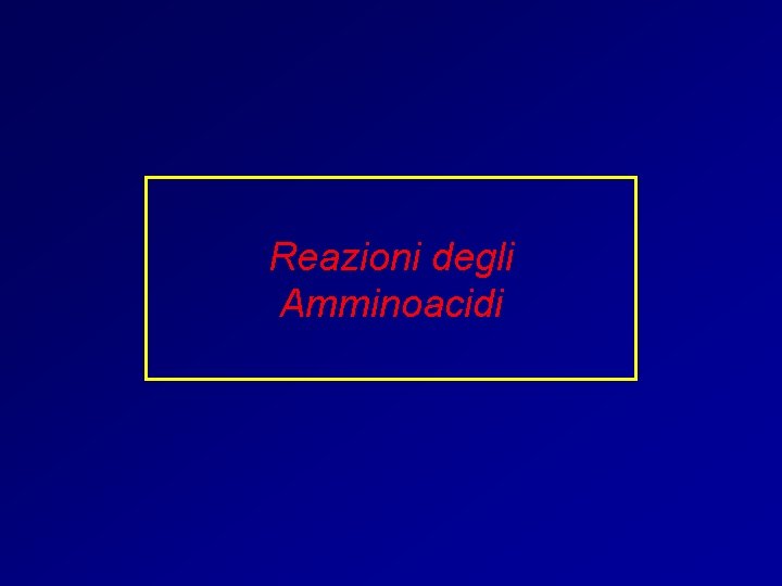 Reazioni degli Amminoacidi 
