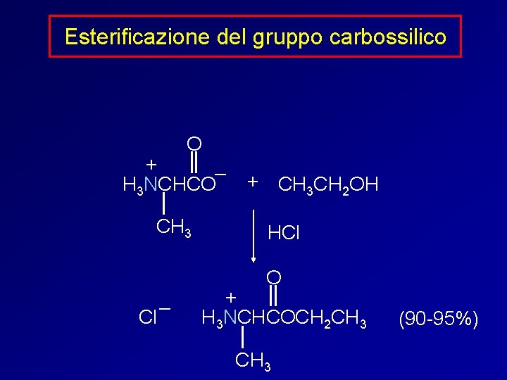 Esterificazione del gruppo carbossilico O + – H 3 NCHCO CH 3 + CH