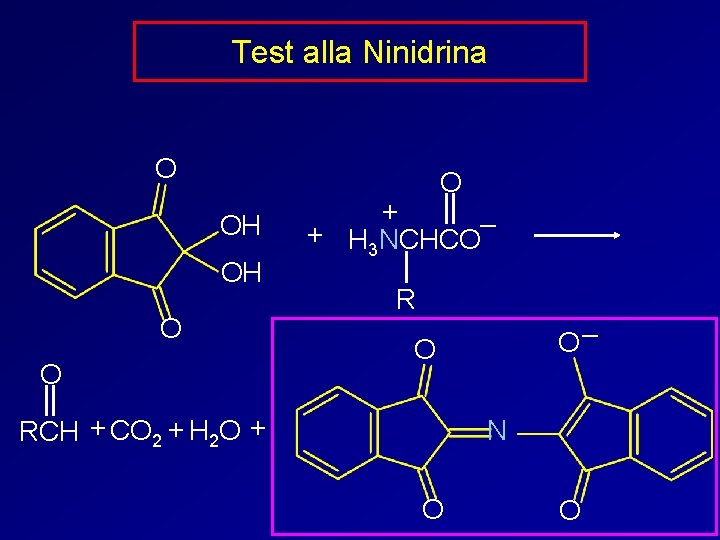 Test alla Ninidrina O O OH OH O O + + H 3 NCHCO–