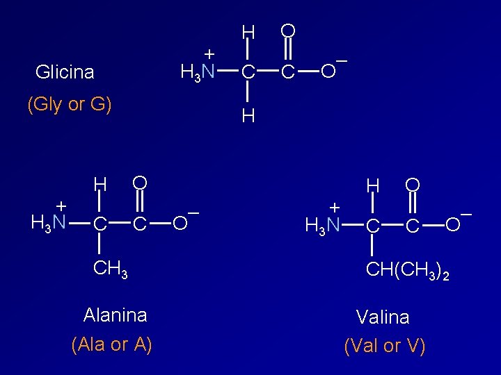 + H 3 N Glicina (Gly or G) + H 3 N H C