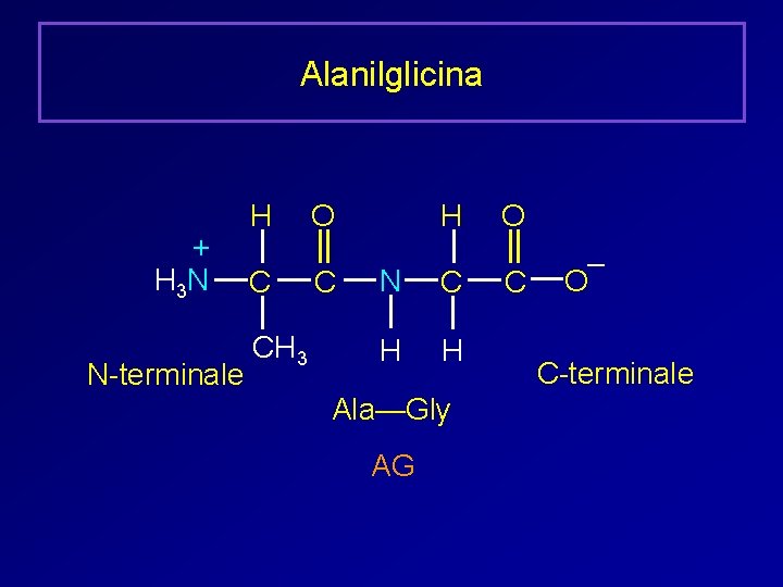 Alanilglicina + H 3 N N-terminale H C CH 3 H O C N