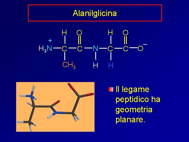 Alanilglicina + H 3 N H C CH 3 H O C N C