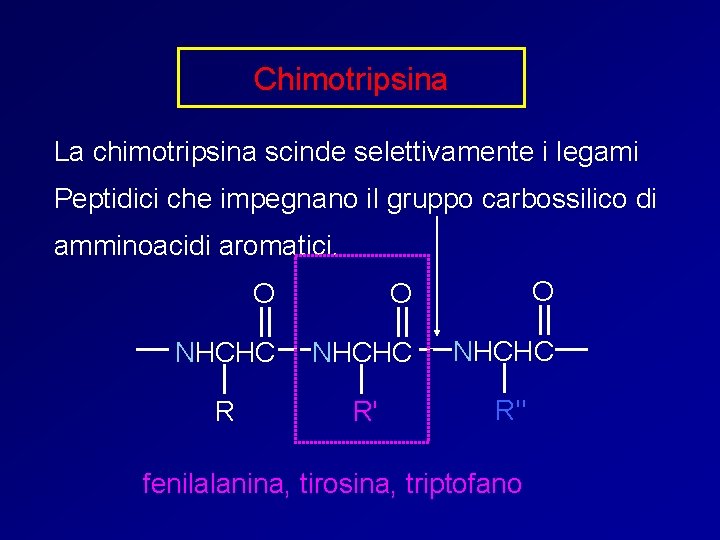 Chimotripsina La chimotripsina scinde selettivamente i legami Peptidici che impegnano il gruppo carbossilico di