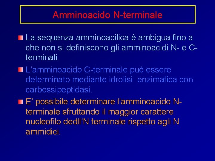 Amminoacido N-terminale La sequenza amminoacilica è ambigua fino a che non si definiscono gli