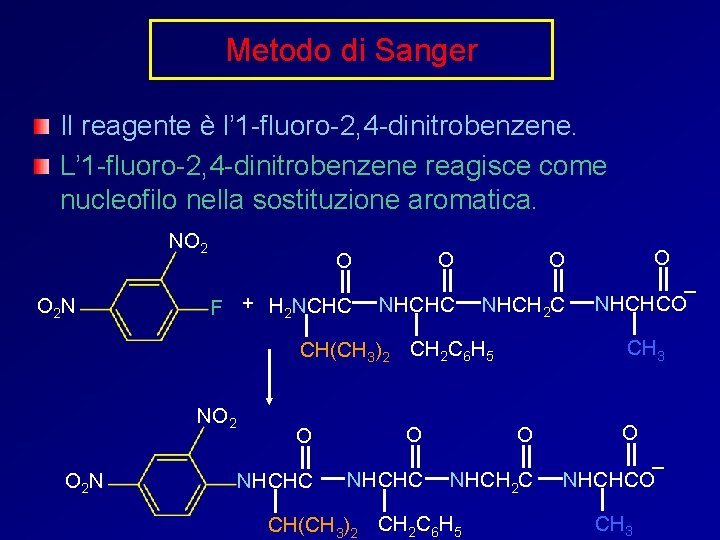 Metodo di Sanger Il reagente è l’ 1 -fluoro-2, 4 -dinitrobenzene. L’ 1 -fluoro-2,