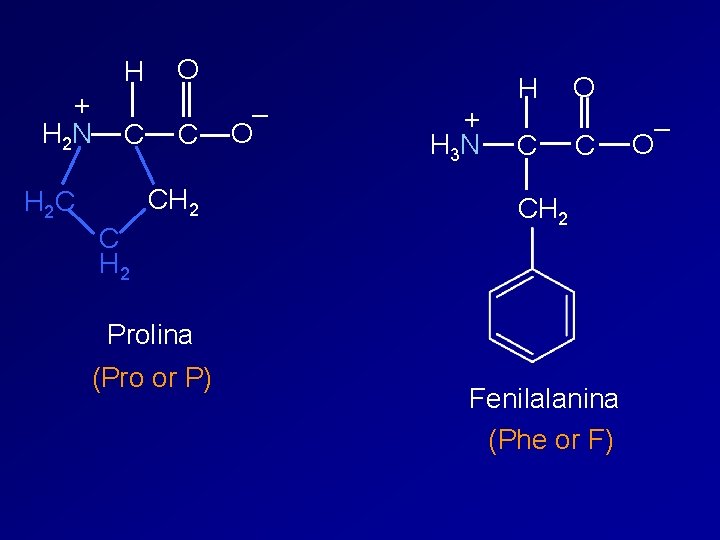 H + H 2 N C O C CH 2 H 2 C C