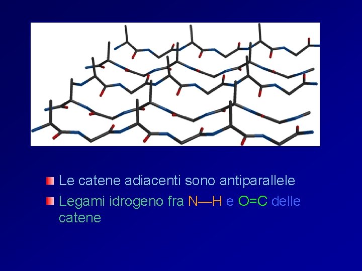Le catene adiacenti sono antiparallele Legami idrogeno fra N—H e O=C delle catene 
