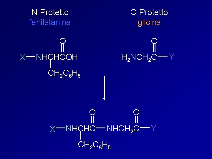 N-Protetto fenilalanina C-Protetto glicina O X O NHCHCOH H 2 NCH 2 C 6