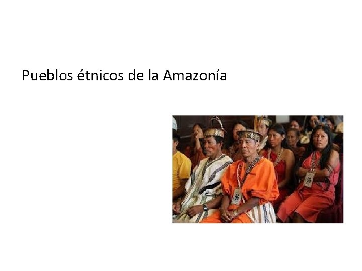 Pueblos étnicos de la Amazonía 