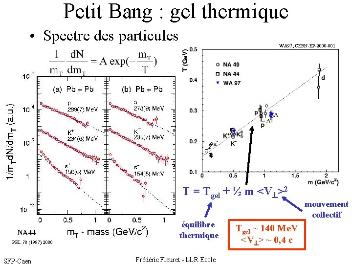 Petit Bang : gel thermique • Spectre des particules WA 97, CERN-EP-2000 -001 T