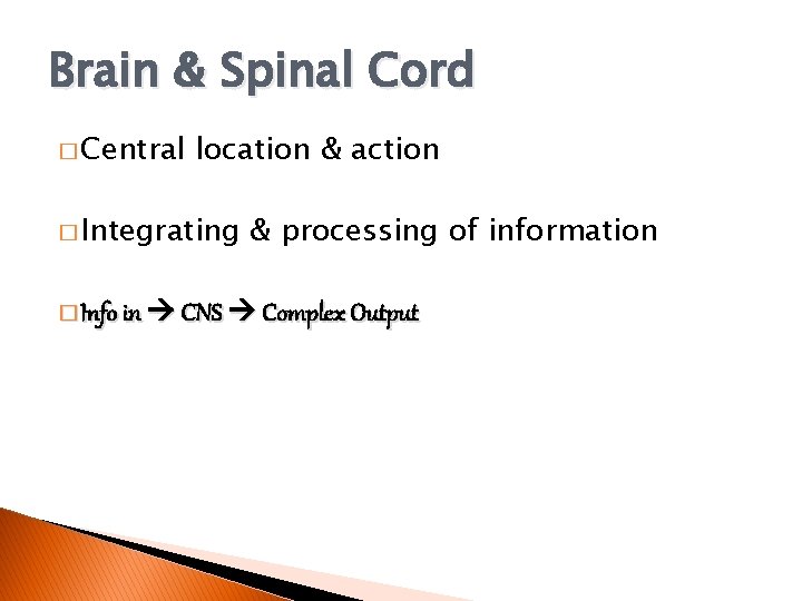 Brain & Spinal Cord � Central location & action � Integrating & processing of