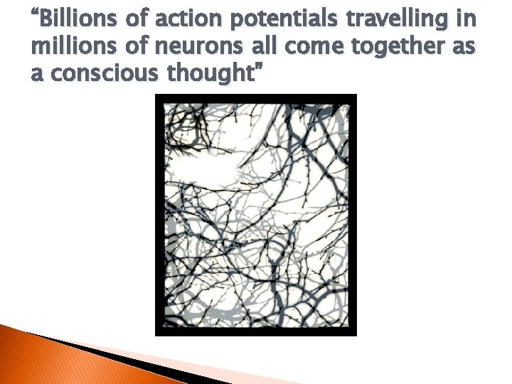 “Billions of action potentials travelling in millions of neurons all come together as a