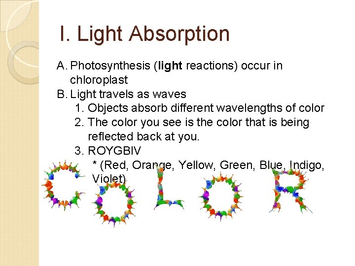 I. Light Absorption A. Photosynthesis (light reactions) occur in chloroplast B. Light travels as