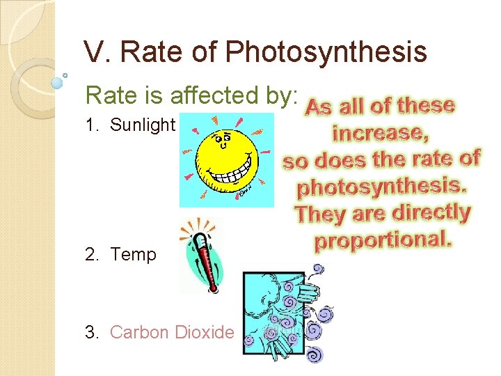 V. Rate of Photosynthesis Rate is affected by: 1. Sunlight 2. Temp 3. Carbon