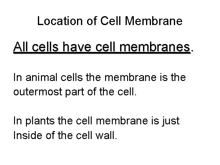 Location of Cell Membrane All cells have cell membranes. In animal cells the membrane