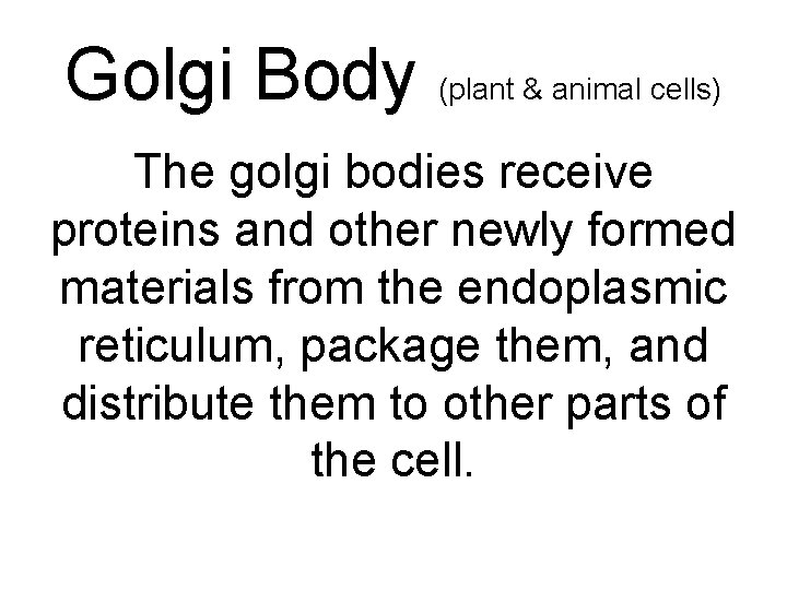 Golgi Body (plant & animal cells) The golgi bodies receive proteins and other newly