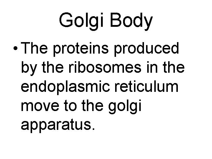 Golgi Body • The proteins produced by the ribosomes in the endoplasmic reticulum move