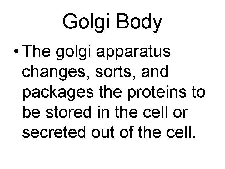 Golgi Body • The golgi apparatus changes, sorts, and packages the proteins to be