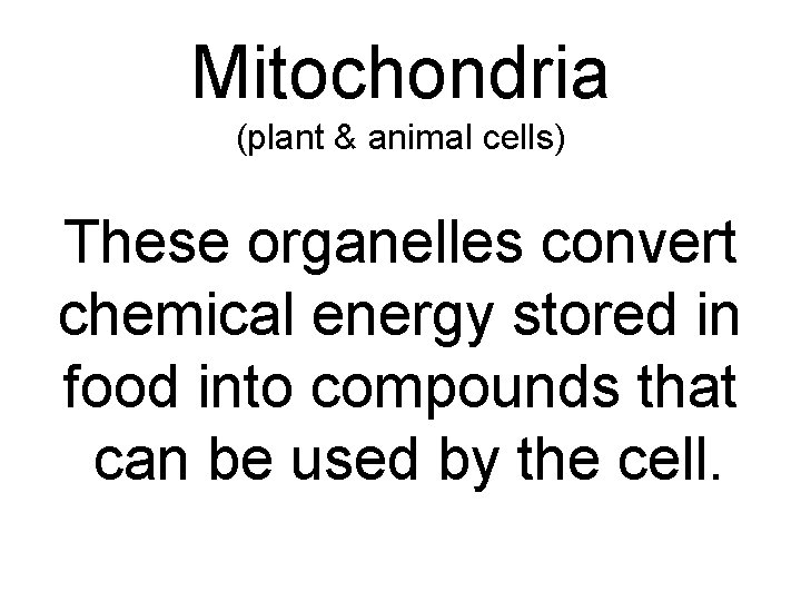 Mitochondria (plant & animal cells) These organelles convert chemical energy stored in food into