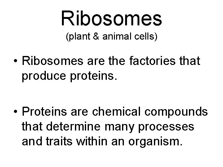 Ribosomes (plant & animal cells) • Ribosomes are the factories that produce proteins. •