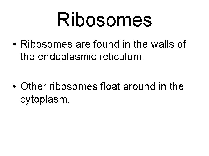 Ribosomes • Ribosomes are found in the walls of the endoplasmic reticulum. • Other