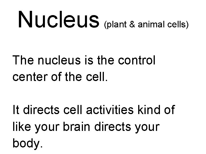 Nucleus (plant & animal cells) The nucleus is the control center of the cell.