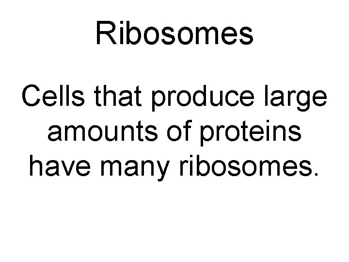 Ribosomes Cells that produce large amounts of proteins have many ribosomes. 