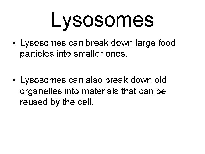 Lysosomes • Lysosomes can break down large food particles into smaller ones. • Lysosomes