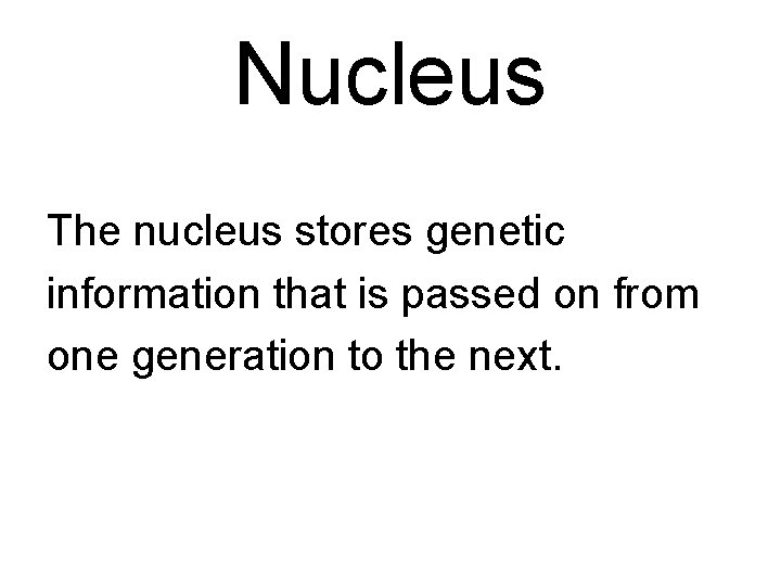 Nucleus The nucleus stores genetic information that is passed on from one generation to