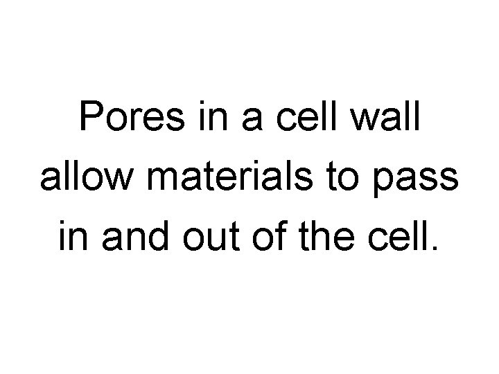 Pores in a cell wall allow materials to pass in and out of the