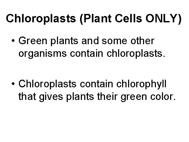 Chloroplasts (Plant Cells ONLY) • Green plants and some other organisms contain chloroplasts. •