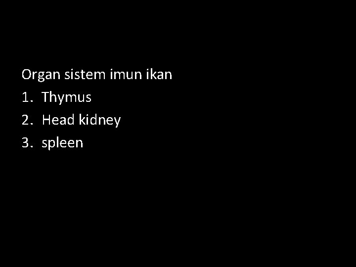 Organ sistem imun ikan 1. Thymus 2. Head kidney 3. spleen 