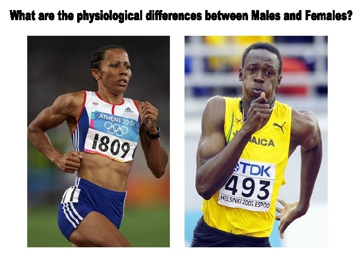 Gender Understanding the differences between males and females