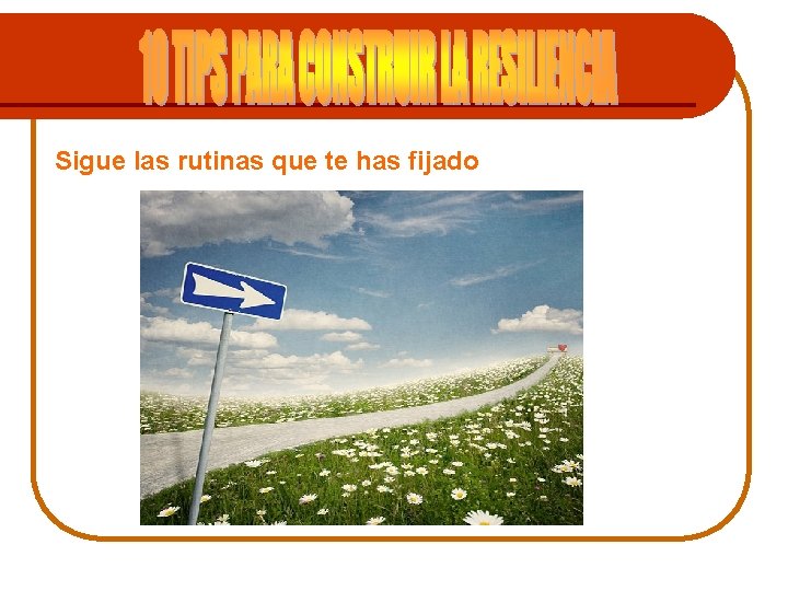 Sigue las rutinas que te has fijado 