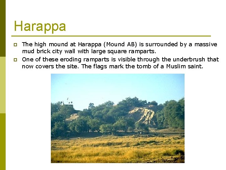 Harappa p p The high mound at Harappa (Mound AB) is surrounded by a