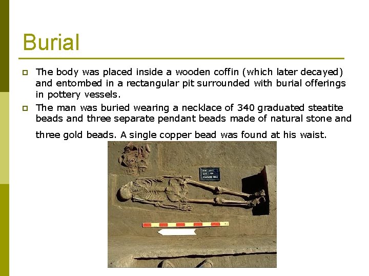 Burial p p The body was placed inside a wooden coffin (which later decayed)