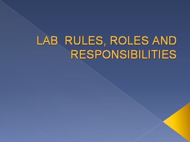 LAB RULES, ROLES AND RESPONSIBILITIES 