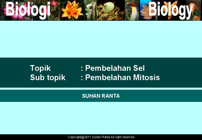 Topik Sub topik : Pembelahan Sel : Pembelahan Mitosis SUHAN RANTA Copyright@2011 Suhan Ranta