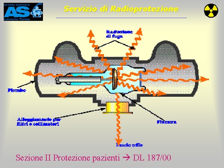 Servizio di Radioprotezione Sezione II Protezione pazienti DL 187/00 