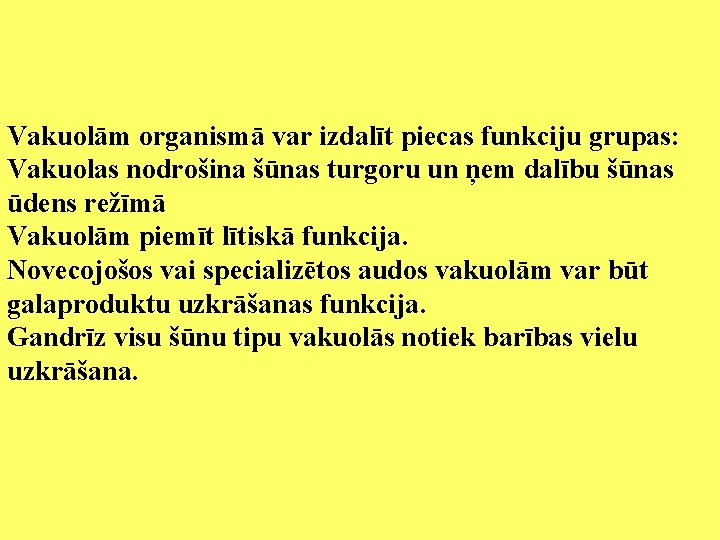 Vakuolām organismā var izdalīt piecas funkciju grupas: Vakuolas nodrošina šūnas turgoru un ņem dalību