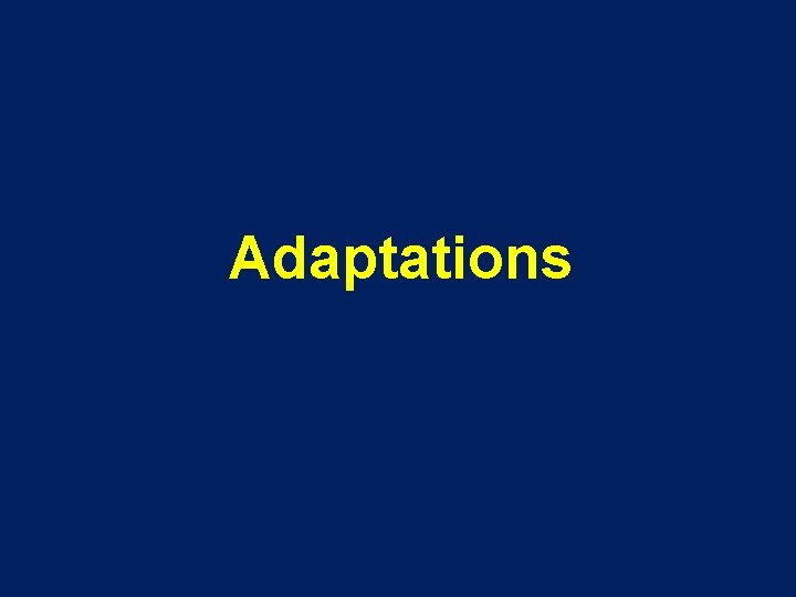 Adaptations 