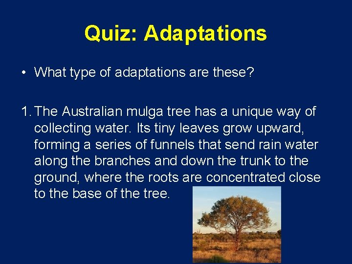 Quiz: Adaptations • What type of adaptations are these? 1. The Australian mulga tree