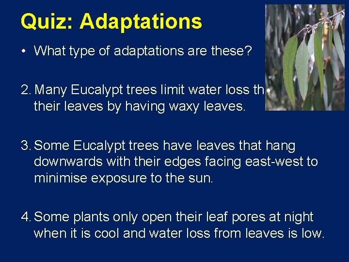 Quiz: Adaptations • What type of adaptations are these? 2. Many Eucalypt trees limit