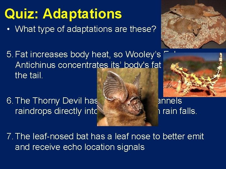 Quiz: Adaptations • What type of adaptations are these? 5. Fat increases body heat,