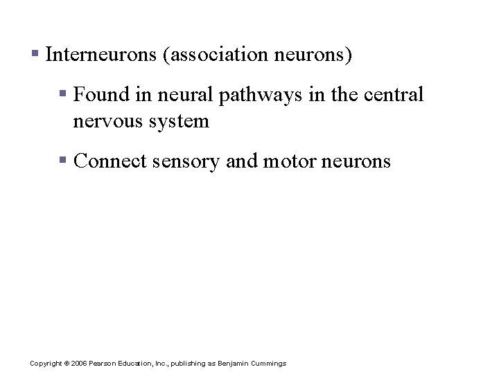 Functional Classification of Neurons § Interneurons (association neurons) § Found in neural pathways in